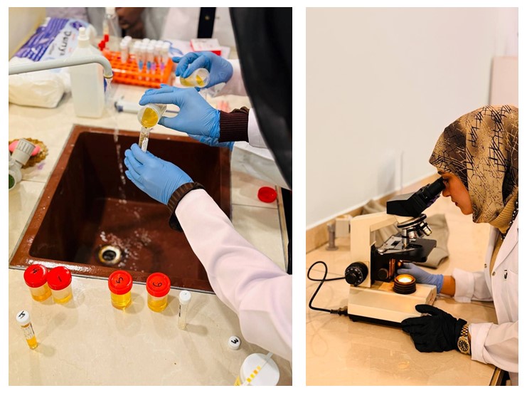 "Urinalysis" in the Medical Laboratory Technology Department